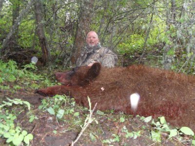 wta_775_5N897A_174_Bear(2)