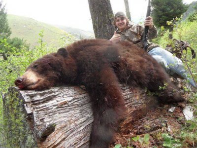 wta_775_CX74G4_174Bear(1)