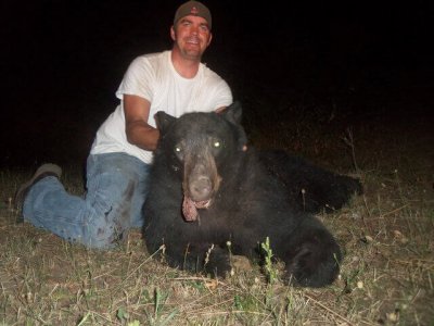 wta_775_KOFNSB_174Bear(3)