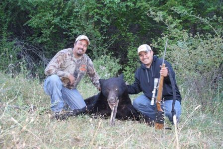 wta_775_QJD1IH_big-black-bear-idaho-2