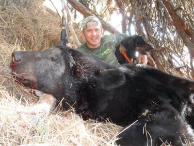 wta_775_T045LU_174Bear(6)