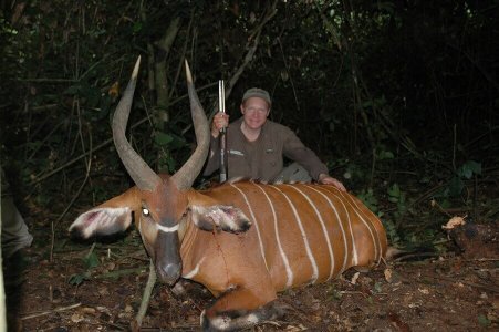 wta_786_USE2KX_MayoOldiri(Cameroon)CraigBoddington-Forest06162