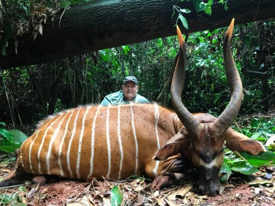 wta_786_bonog - copia