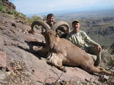 wta_795_5RNOOX_078-aoudad-10