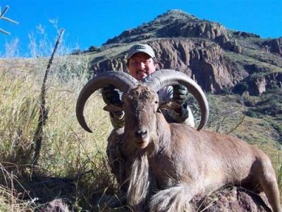 wta_795_DM3F04_078-aoudad-17