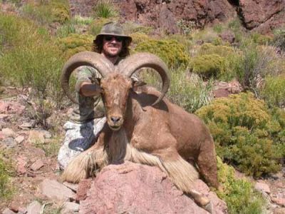 wta_795_GJGSZX_078-aoudad-5