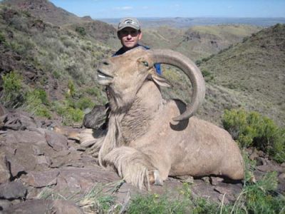 wta_795_LJJ1H1_078-aoudad-26