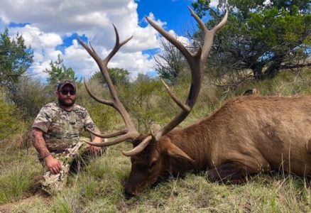 wta_795_N0VGES_JamesGlossonJr.Elk
