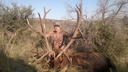 wta_795_O84XI2_JamesGlossonJr.Elk2