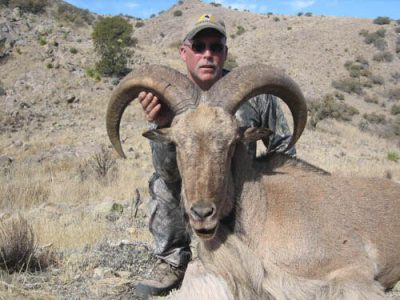 wta_795_PPGUJ3_078-aoudad-38