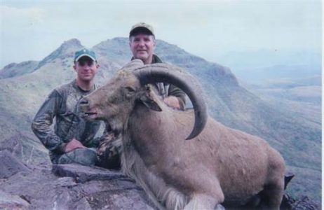 wta_795_PU8731_078-aoudad-4