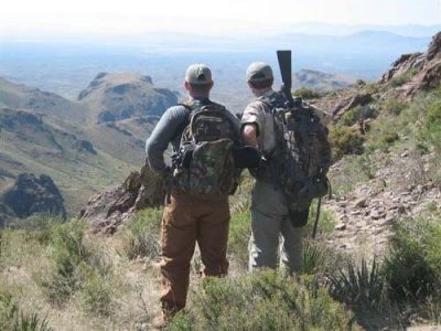 wta_795_X69DUL_078-aoudad-43
