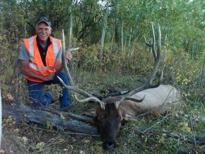 wta_796_0GDANC_043_elk-42