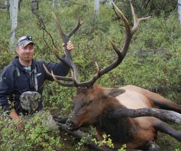 wta_796_28MRRP_043_elk-6