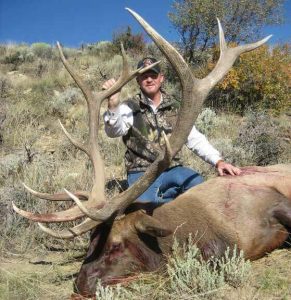 wta_796_44TSFR_043_elk-28