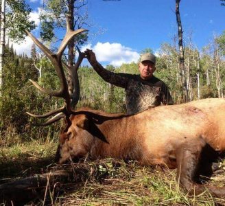 wta_796_95GW8Y_043_elk-1