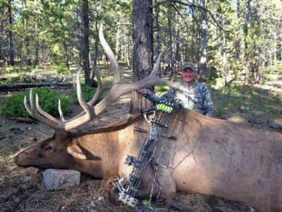 wta_796_9C8B67_043_elk-13