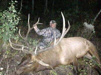 wta_796_CJXK54_043_elk-2