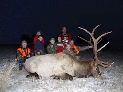 wta_796_D7TB3S_043_elk-56