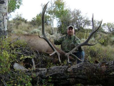 wta_796_DM5FVR_043_elk-16