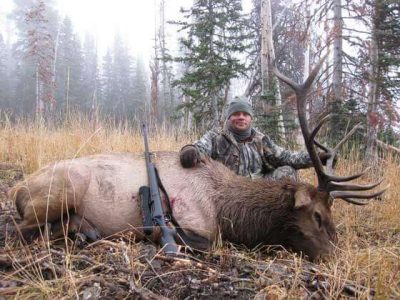 wta_796_E38SEG_043_elk-23