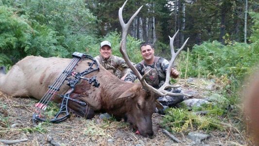 wta_796_EMHFUV_2016elk.jpg