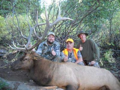 wta_796_H8SS5G_043_elk-61