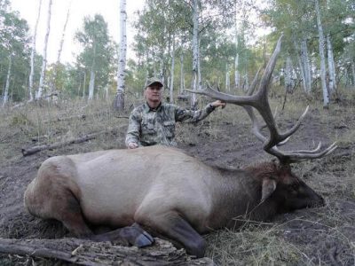 wta_796_HQWL99_043_elk-55
