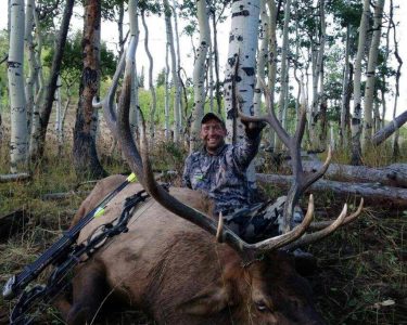 wta_796_ITXLZE_043_elk-12