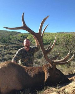 wta_796_P8FPP1_043_elk-11