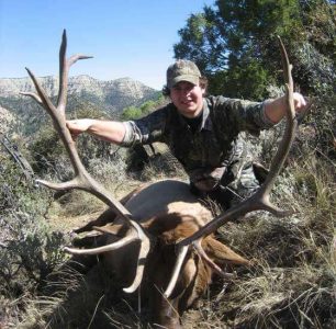 wta_796_PWB8GD_043_elk-30