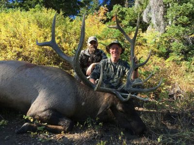 wta_796__featured_LO8BQJ_2016elk2.jpg