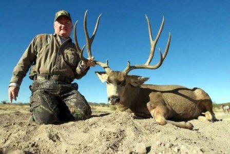wta_79_2CAAM1_005_muledeer-25