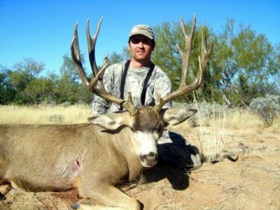 wta_79_4HRHUZ_005_muledeer-19
