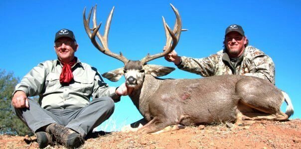 wta_79_7A640K_005_muledeer-9