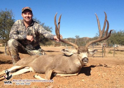 wta_79_7QT2UN_Sonora_05MuleDeer(24)