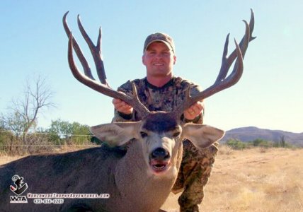 wta_79_8KDTKU_Sonora_05MuleDeer(13)
