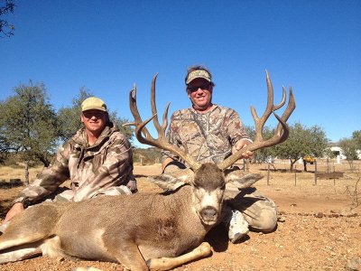 wta_79_DQZDJ4_Sonora_05MuleDeer(3)