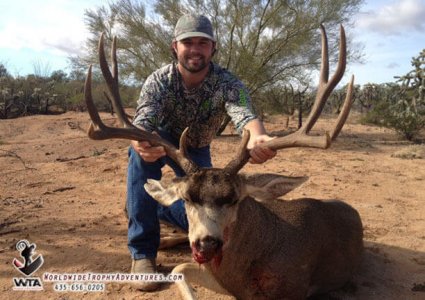 wta_79_H94XS1_Sonora_05MuleDeer(21)