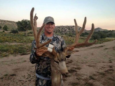 wta_79_Q8BKLB_005_muledeer-1