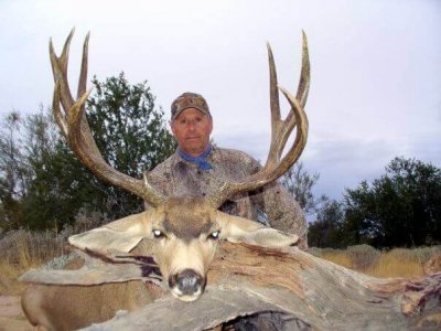 wta_79_SCLNMR_005_muledeer-35