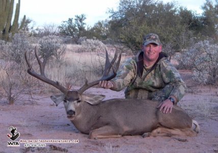 wta_79_VHNEJN_Sonora_05MuleDeer(14)