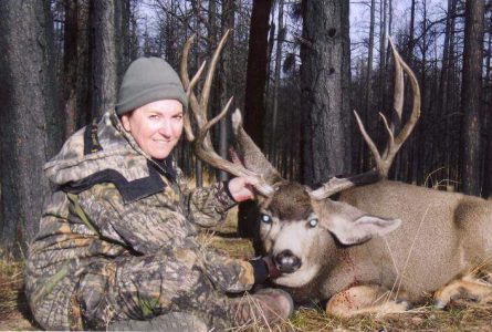wta_800_5HZ2BH_DAMuleDeer2