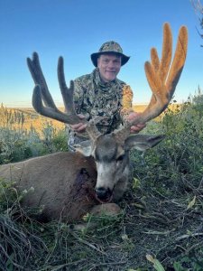 Wyoming mule deer