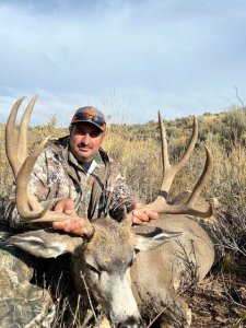 Wyoming mule deer