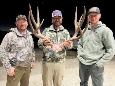 Wyoming mule deer