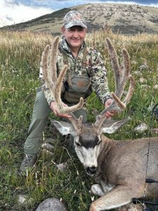 Wyoming mule deer