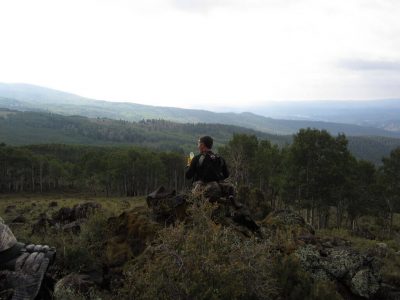 wta_80_TH20YP_006_UTElk(23)