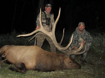 wta_80__featured_P0QARS_006Elk(2)