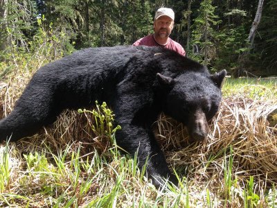 wta_826_PW47RN_283_blackbear-2
